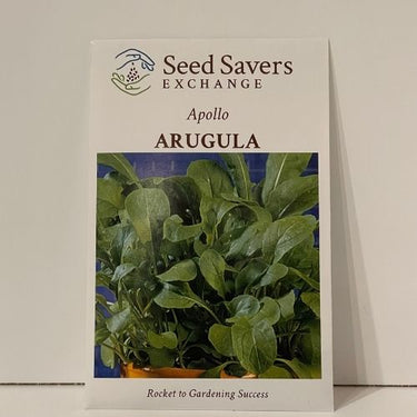Apollo Arugula, Excellent Arugula Variety